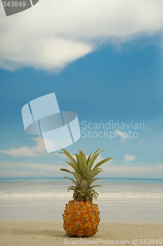 Image of Pineapple and beach
