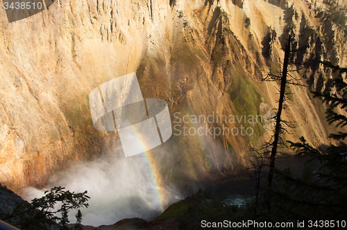 Image of Yellowstone National Park, USA