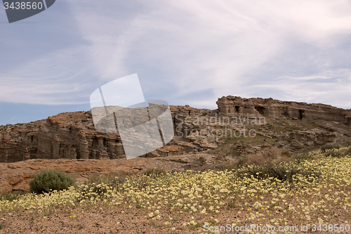 Image of Antelope Valley Poppy Reserve, California, USA