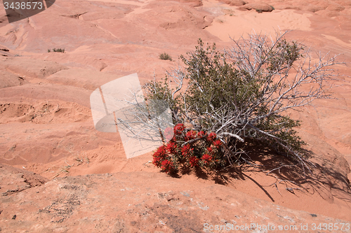 Image of Edmaiers Secret, Utah, USA