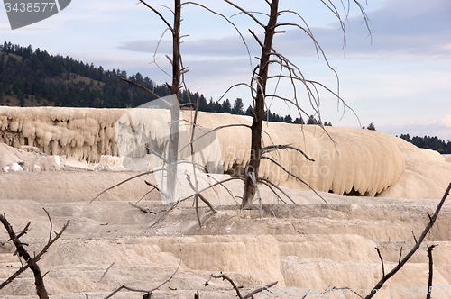 Image of Yellowstone National Park, USA