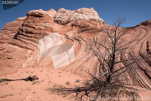Image of White Pocket Canyon, Arizona, USA