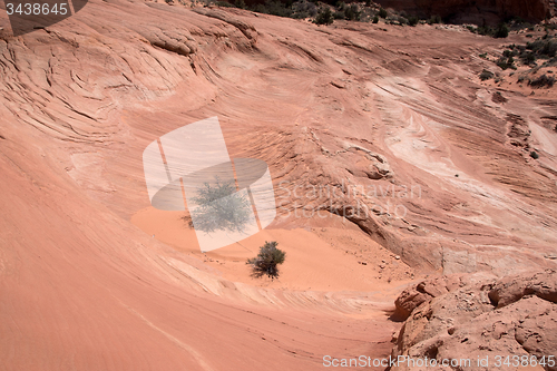 Image of Edmaiers Secret, Utah, USA