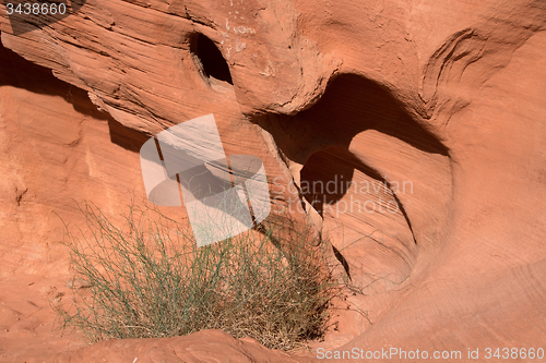 Image of Valley of Fire, Nevada, USA