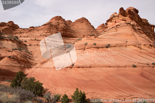 Image of Coyote Buttes South, Utah, USA