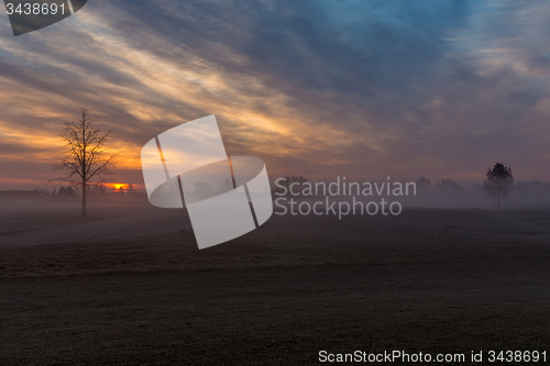 Image of Morning Fog
