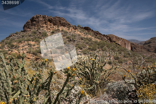 Image of Theodore Roosevelt Lake, Arizona, USA