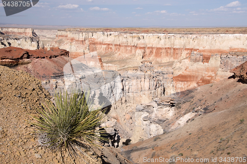 Image of Coal Mine Canyon, Arizona, USA