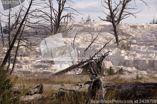 Image of Yellowstone National Park, USA