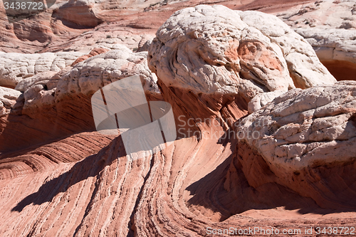 Image of White Pocket Canyon, Arizona, USA