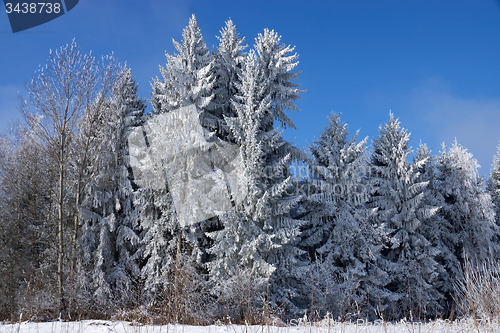 Image of Ica Age in Muehlberg, Bavaria, Germany