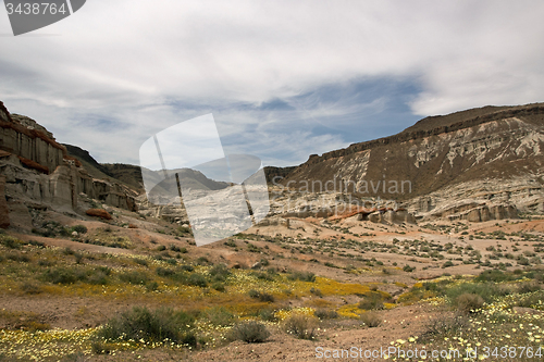 Image of Antelope Valley Poppy Reserve, California, USA