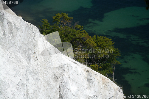 Image of Mons Klint, Denmark