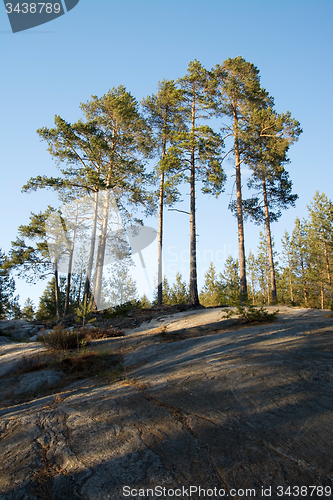 Image of Angermanaelven, Sweden