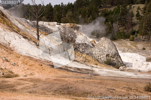 Image of Yellowstone National Park, USA