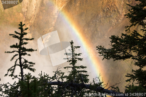 Image of Yellowstone National Park, USA