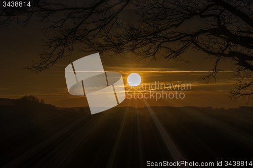 Image of Morning Fog