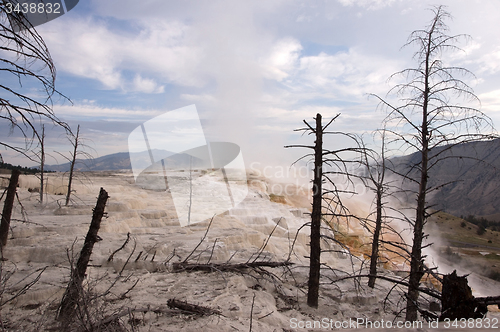 Image of Yellowstone National Park, USA