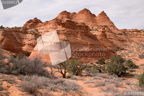 Image of Coyote Buttes South, Utah, USA