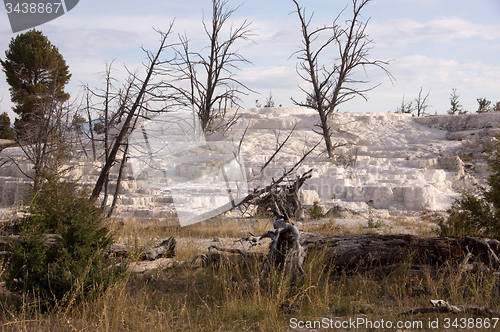 Image of Yellowstone National Park, USA