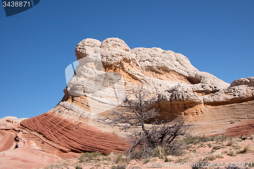 Image of White Pocket Canyon, Arizona, USA