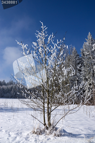 Image of Ica Age in Muehlberg, Bavaria, Germany