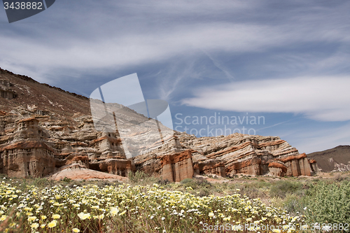 Image of Antelope Valley Poppy Reserve, California, USA