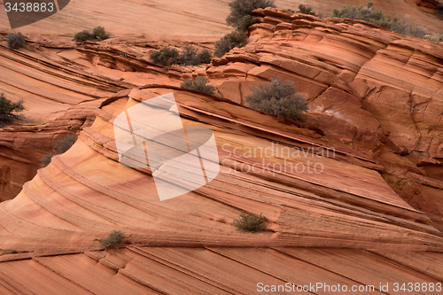 Image of Coyote Buttes South, Utah, USA