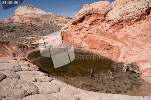 Image of White Pocket Canyon, Arizona, USA