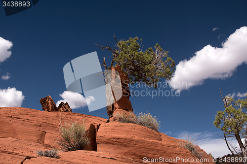Image of Edmaiers Secret, Utah, USA