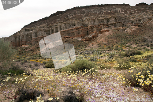 Image of Red Rock Canyon State Park, California, USA