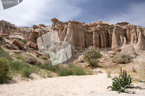 Image of Antelope Valley Poppy Reserve, California, USA