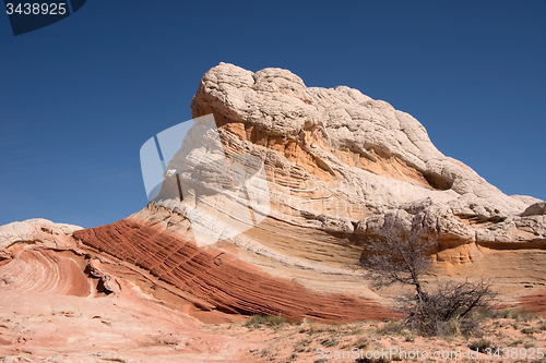 Image of White Pocket Canyon, Arizona, USA