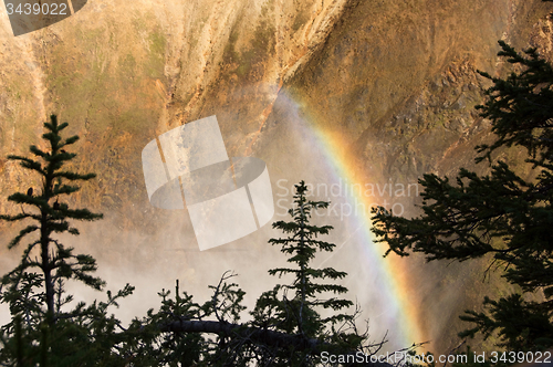 Image of Yellowstone National Park, USA