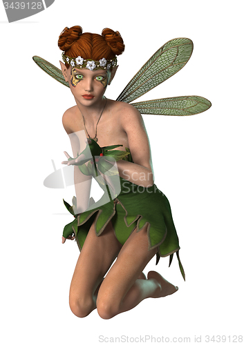Image of Spring Fairy