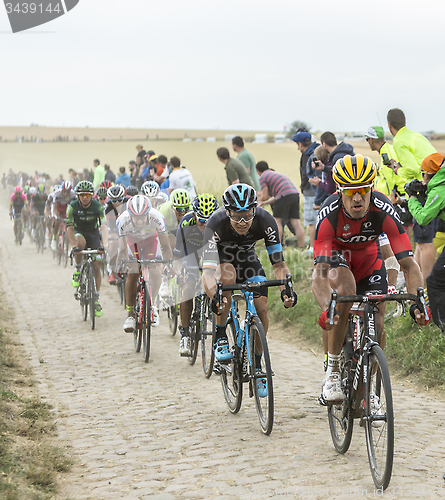 Image of The Peloton on a Cobblestone Road - Tour de France 2015