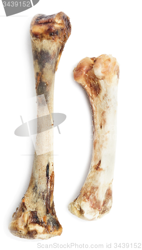 Image of chicken bones