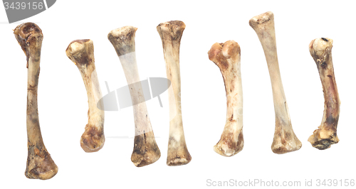 Image of chicken bones