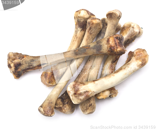 Image of chicken bones