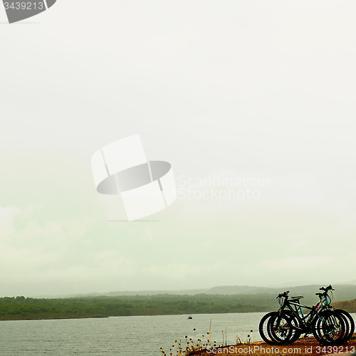 Image of Abandoned Bicycles