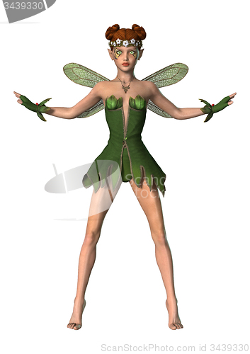 Image of Spring Fairy