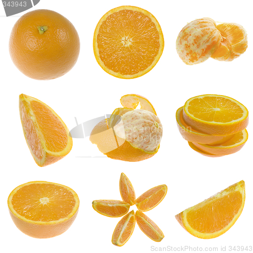 Image of Collection of oranges

