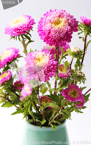 Image of Flowers