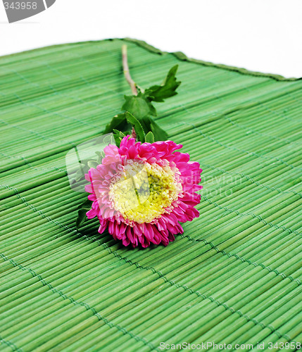 Image of Flower