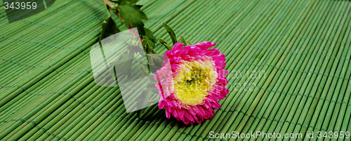 Image of Flower