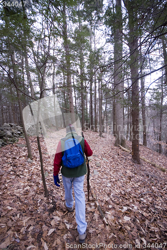 Image of man hiking in woods