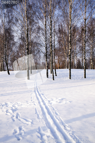 Image of snow with a path from a sledge  