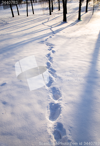 Image of   snow. Winter