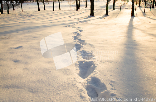 Image of   snow. Winter