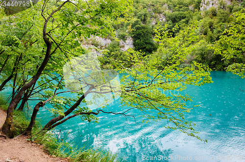 Image of Clear water of Plitvice Lakes, Croatia